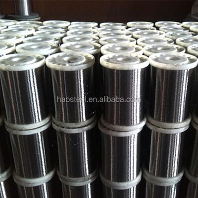 Stainless Steel Wire 304 316 316L 316Ti 309s 310S Soft Bright Matt 0.05-20mm