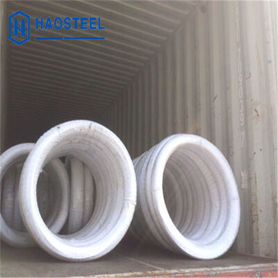 304 316L 410 0.07mm 0.13mm 1mm 2mm 부드러운 EN/AISI 스테인리스 스틸 와이어